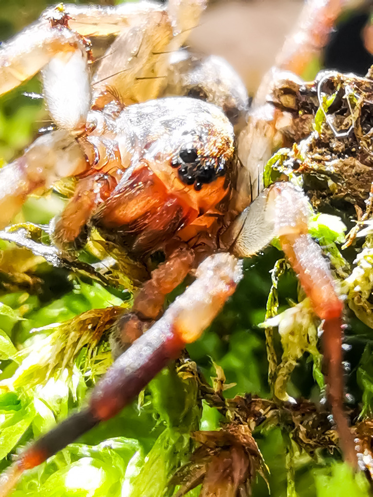 PSX_20230313_225039 | mtkfoto_ - Realisiert mit Pictrs.com