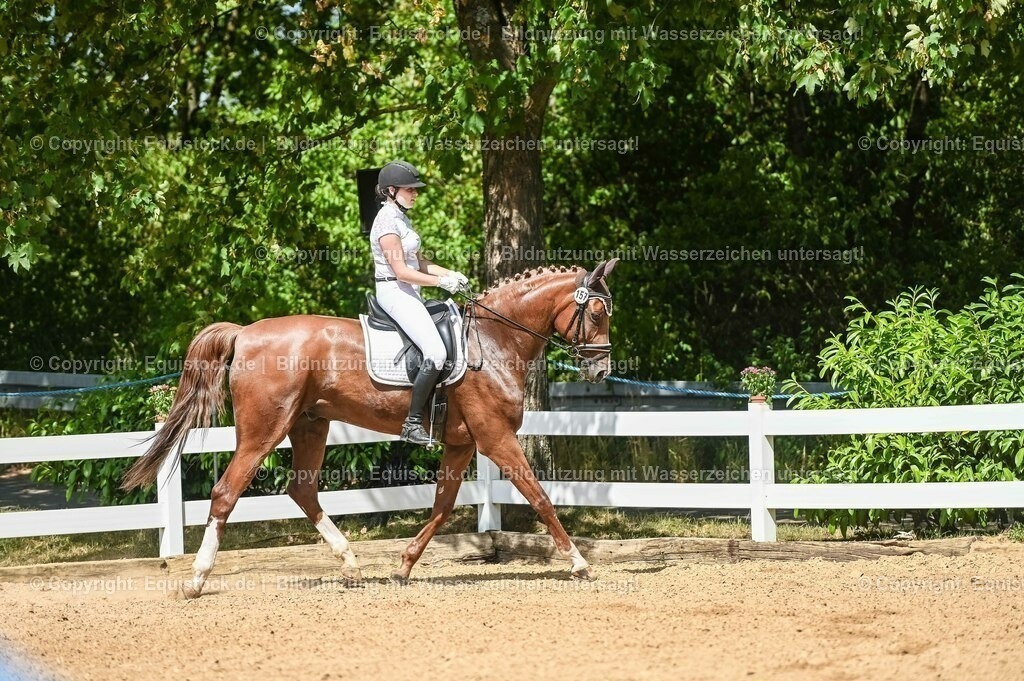 20230715_02_Dressurreiterprüfung Kl.L_0233 | equistock