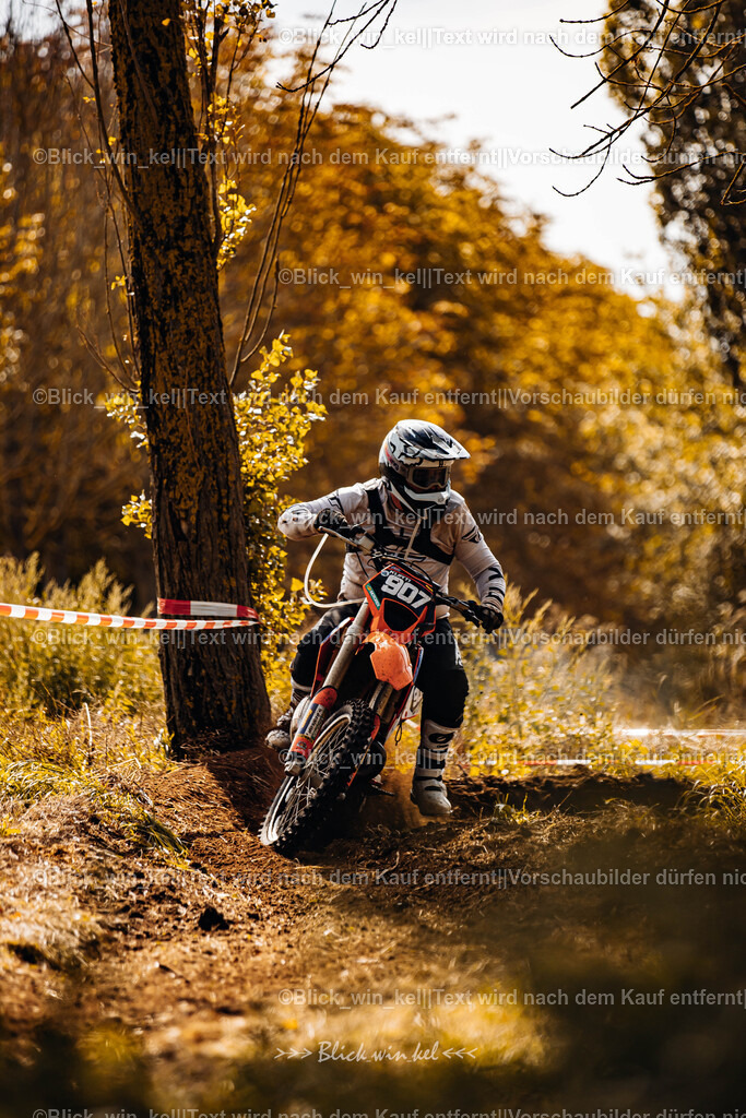 E68A1564 | blick_win_kel