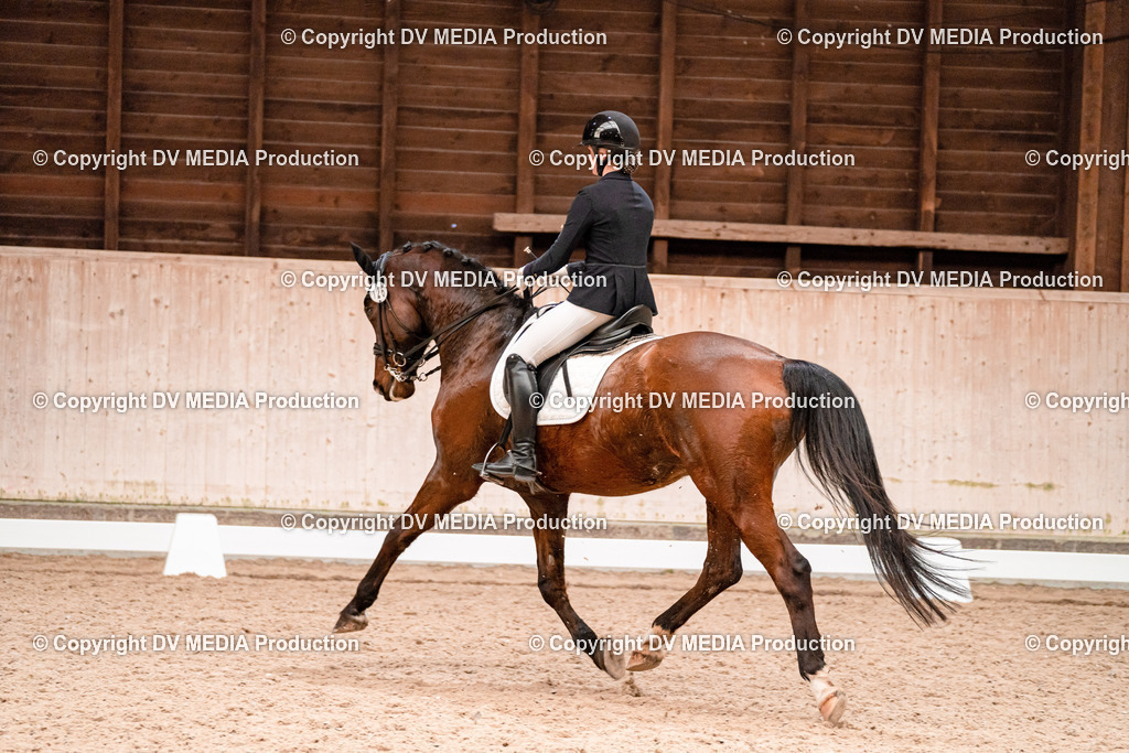 Dressur Tag 3-274 | dv-media-shop - Realisiert mit Pictrs.com