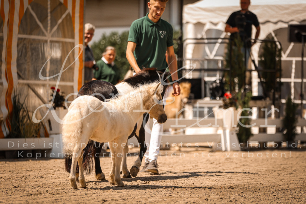 01.DoKR00066 | Leoni Ertmer Photography - Realisiert mit Pictrs.com