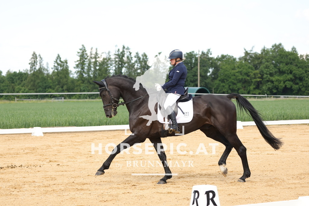 0P6A9081 | Willkommen bei Brunnmayr - Design & Fotografie – Ihrem Spezialisten für Reitturniere und Pferdeveranstaltungen in Oberösterreich, Salzburg und Bayern! Seit über 17 Jahren sind wir leidenschaftlich dabei.