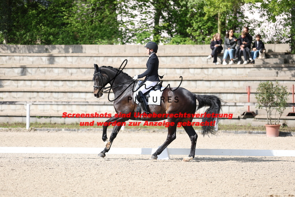 A40A3811 | lmwpictures - Realisiert mit Pictrs.com