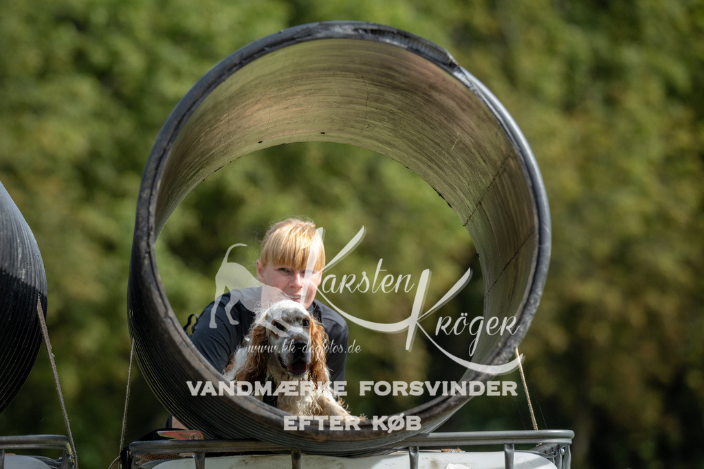 1145_ZZ90262 | kk-dogfotos