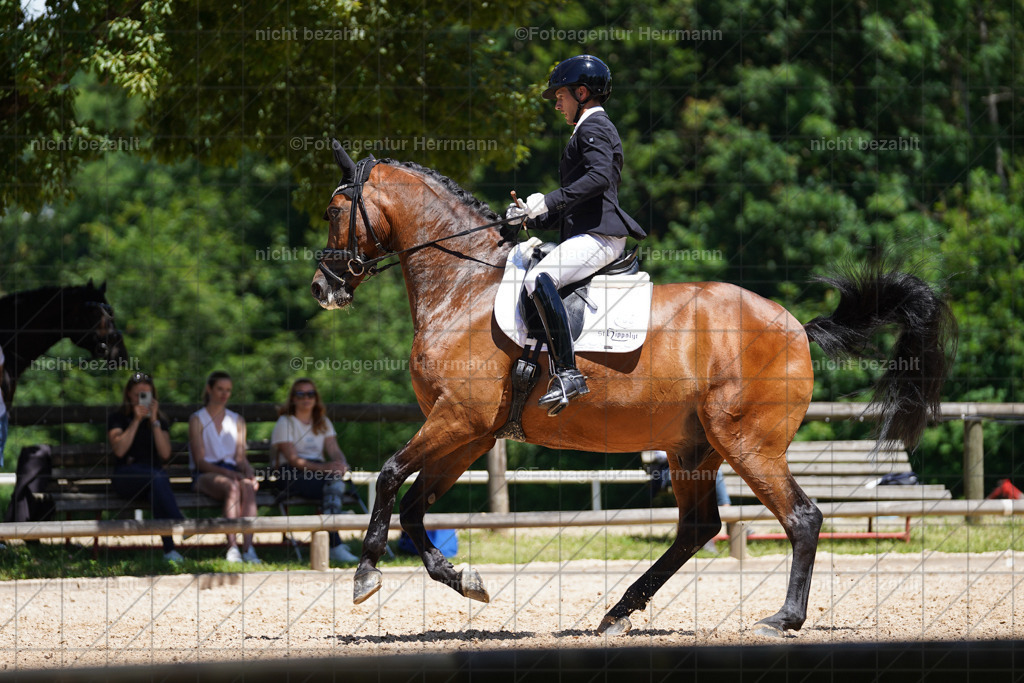 20240705-FAH03851 | Turnierbilder von Grafing, Reitsportbilder, Turnierfotos, Turnierfotografen Bayern, Pferdefotograf, Fotoagentur Herrmann