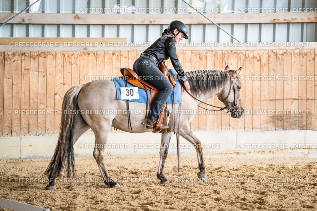 DSC09286 | Pferdegrafie