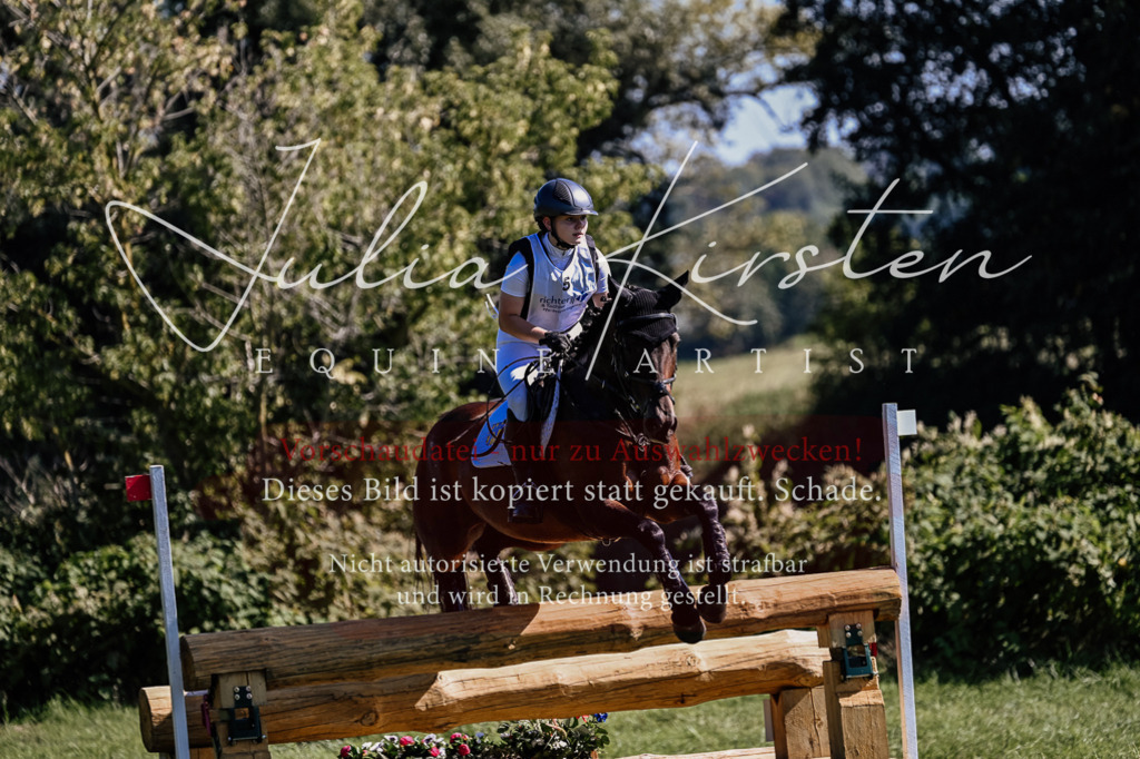 DSC_1525 | Pferde- und Turnierfotografie in Westsachsen. Pferdeportraits, Auftragszeichnungen und intuitive Kunst.
