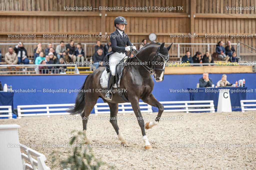 _D5A4342 | Emotionale Pferde- & People-Fotografie rund um Heidelberg, Leimen & Umgebung. Natürliche Fotos von Pferd, Mensch & Familie. Jetzt Termin sichern!