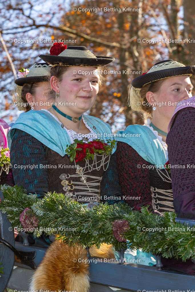 LBT25-1346 | foto-bettina-krinner - Realisiert mit Pictrs.com