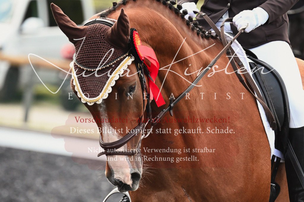 DSC_2807 | Pferde- und Turnierfotografie in Westsachsen. Pferdeportraits, Auftragszeichnungen und intuitive Kunst.