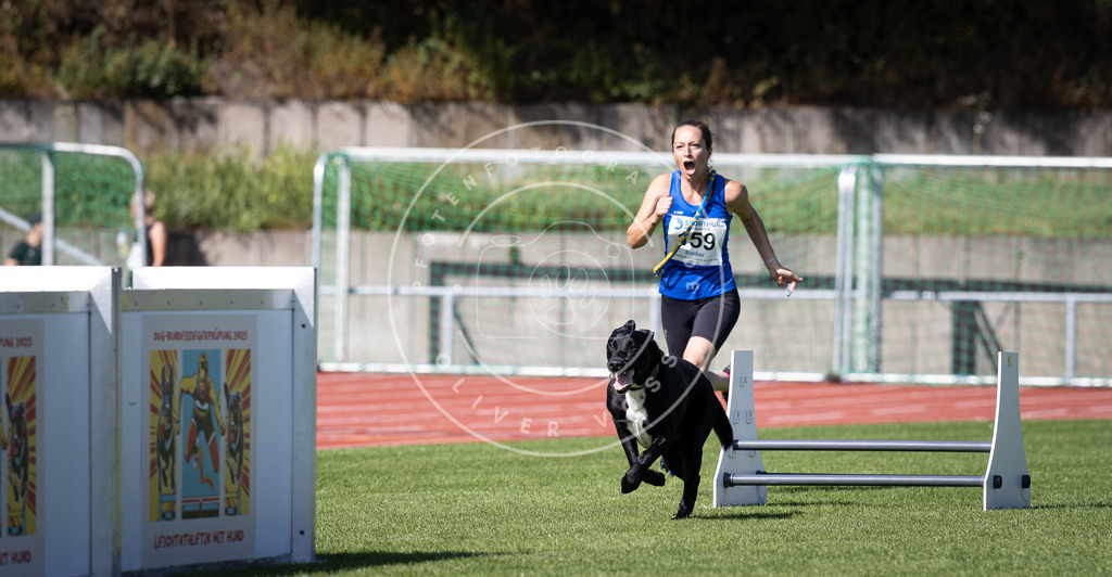 Pfotenfotografie_DV3A9600 | Hundefotografie, Tierfotograf, Pfotenfotografie, Fotoshooting Hund, Hunde Portrait, Hundesport, Hundeportraits, Heideshooting, Hunde, Sportfotograf, Hundefotograf, Turnierhundsport, THS,  - Realisiert mit Pictrs.com