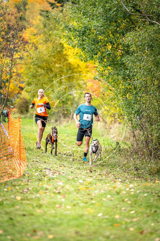 Pfotenfotografie_DV3A1650 | Hundefotografie, Tierfotograf, Pfotenfotografie, Fotoshooting Hund, Hunde Portrait, Hundesport, Hundeportraits, Heideshooting, Hunde, Sportfotograf, Hundefotograf, Turnierhundsport, THS,  - Realisiert mit Pictrs.com