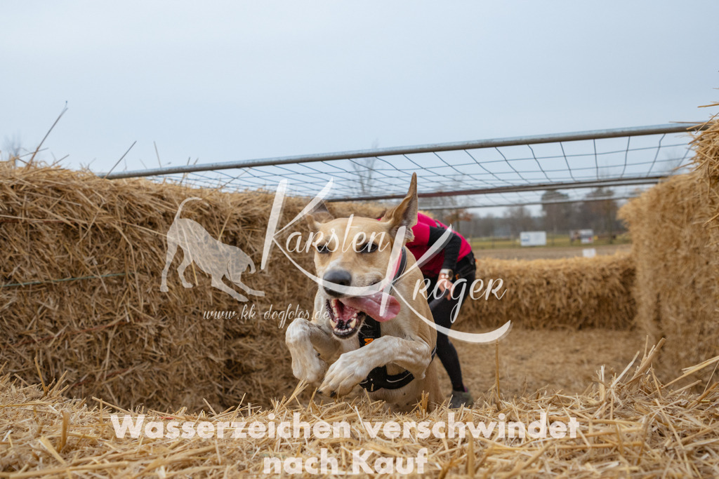 0807_ZZ92152 | kk-dogfotos