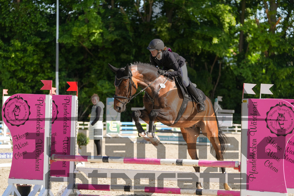 DSC02072 | Julian Held Fotografie - Realisiert mit Pictrs.com