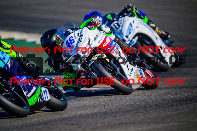 MaZZes_Fotomatrix_20240921_6007705_6409 | SSP300