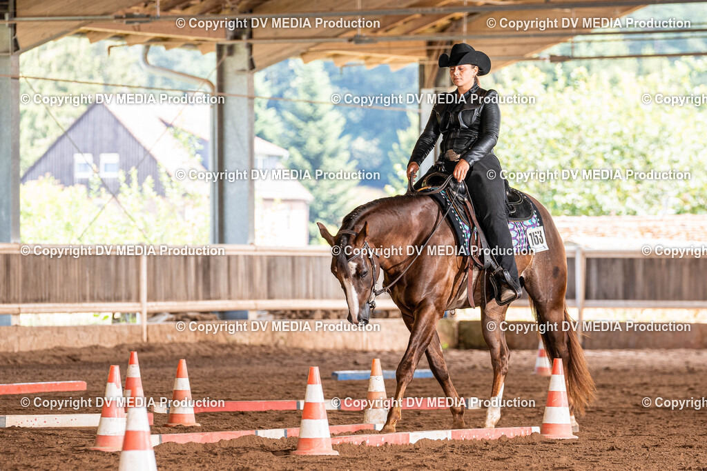 Erbach Tag 2-550 | dv-media-shop - Realisiert mit Pictrs.com