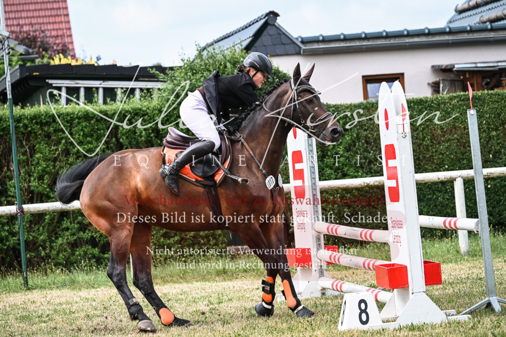 DSC_8301 | Pferde- und Turnierfotografie in Westsachsen. Pferdeportraits, Auftragszeichnungen und intuitive Kunst.