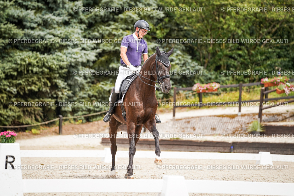 DSC06256 | Pferdegrafie