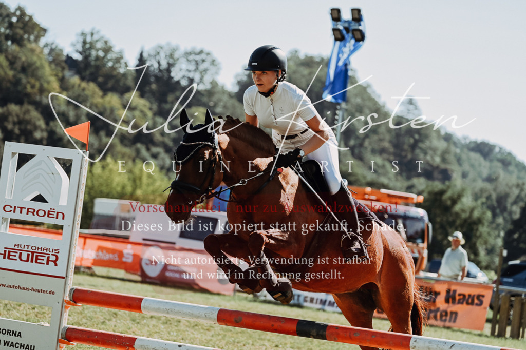 DSC_6891 | Pferde- und Turnierfotografie in Westsachsen. Pferdeportraits, Auftragszeichnungen und intuitive Kunst.