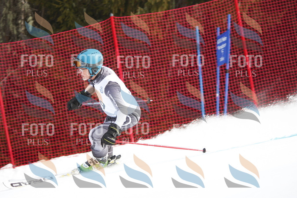 D5253 | holidayphoto