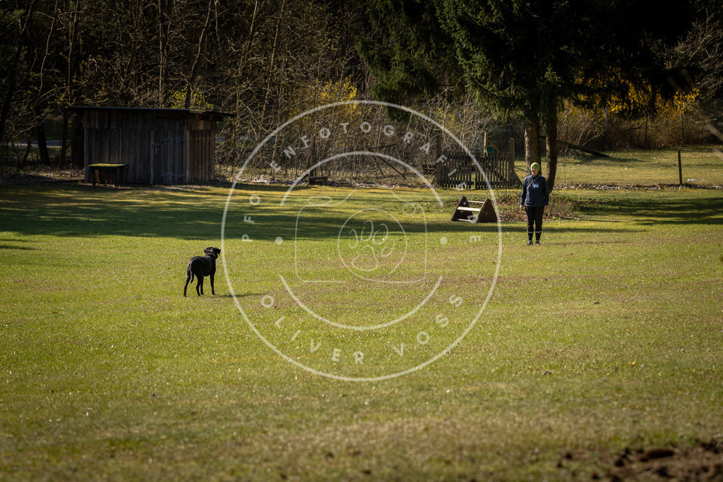 Pfotenfotografie_DV3A0332 | Hundefotografie, Tierfotograf, Pfotenfotografie, Fotoshooting Hund, Hunde Portrait, Hundesport, Hundeportraits, Heideshooting, Hunde, Sportfotograf, Hundefotograf, Turnierhundsport, THS,  - Realisiert mit Pictrs.com