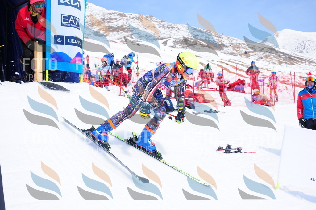 DSC_6553 | holidayphoto