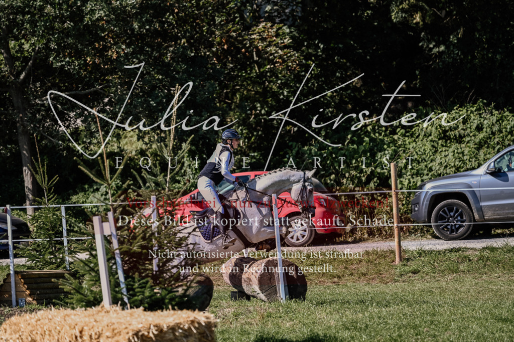 DSC_2046 | Pferde- und Turnierfotografie in Westsachsen. Pferdeportraits, Auftragszeichnungen und intuitive Kunst.