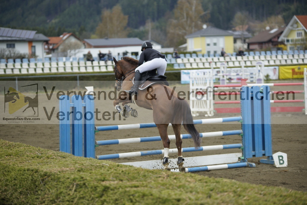 _DSC7108 | equestrian-live-com
