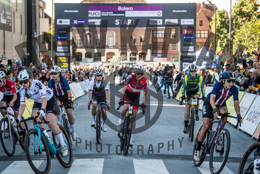 DKP-7323 | Drew Kaplan Photography