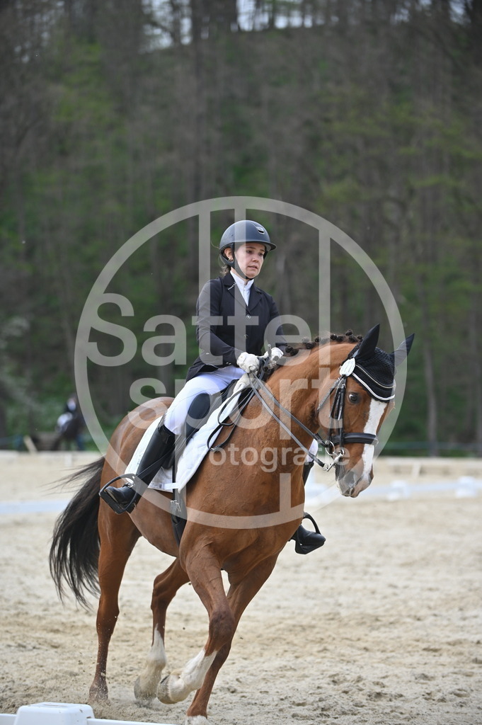 DSC_4853 | sattelsport - Realisiert mit Pictrs.com