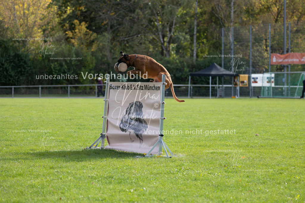 _16A6609 | Einzigartige Fotos von Hunden & Menschen –Actionfotos, Portraits, Vereinsaufnahmen & Paarshootings – authentisch, lebendig & mit Herz.