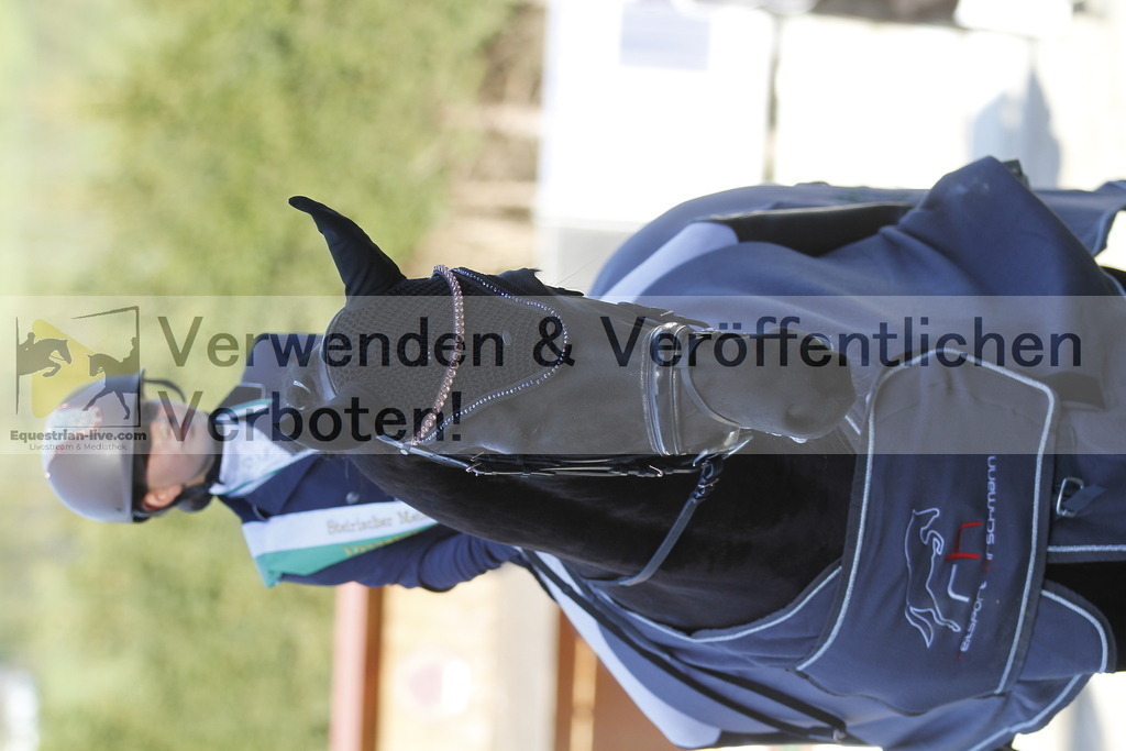_MG_3187 | equestrian-live-com