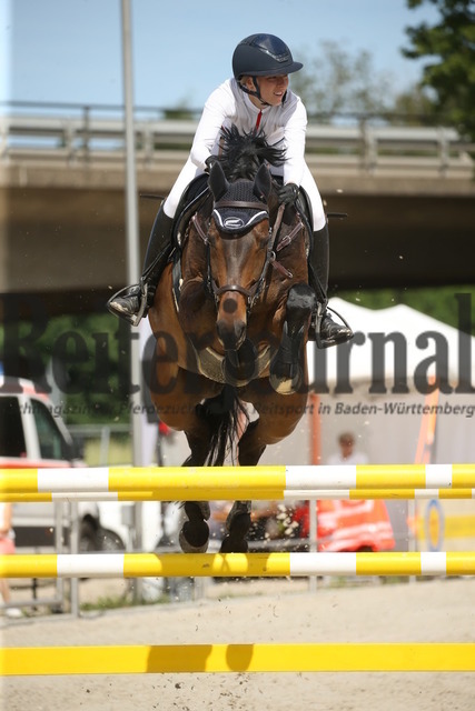 Achern_2022_Springen_Kl.S_m.St._Katharina Schlosser_Quiet and surprise (10) | Alle Fotos der Reiterjournal Fotografin Doris Matthaes im Reiterjournal Online-Fotoshop. - Realisiert mit Pictrs.com