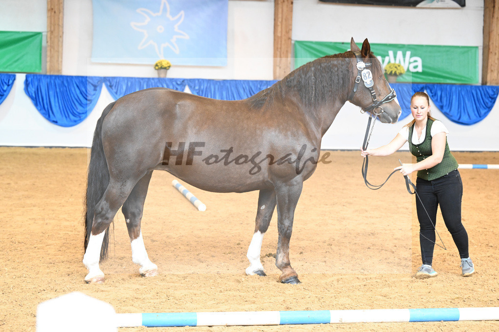 Kat-Nr. 82 Rebeca_Bauer_53220431 | hf-fotografie - Realisiert mit Pictrs.com