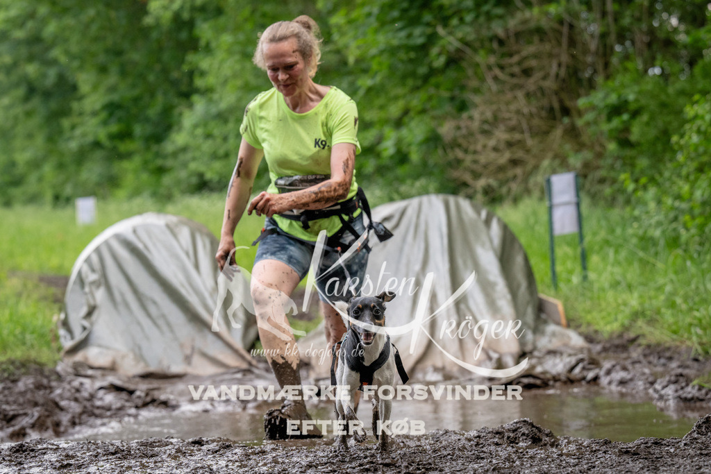 1521_ZZ92981 | kk-dogfotos