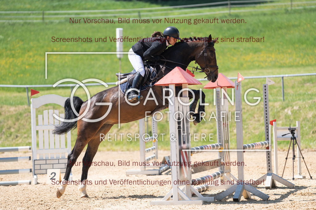 DSC04360 | Springturnier_Ehingen_Mai_2026, Carla_Valentina_Menig, Touch_of_Class_C
