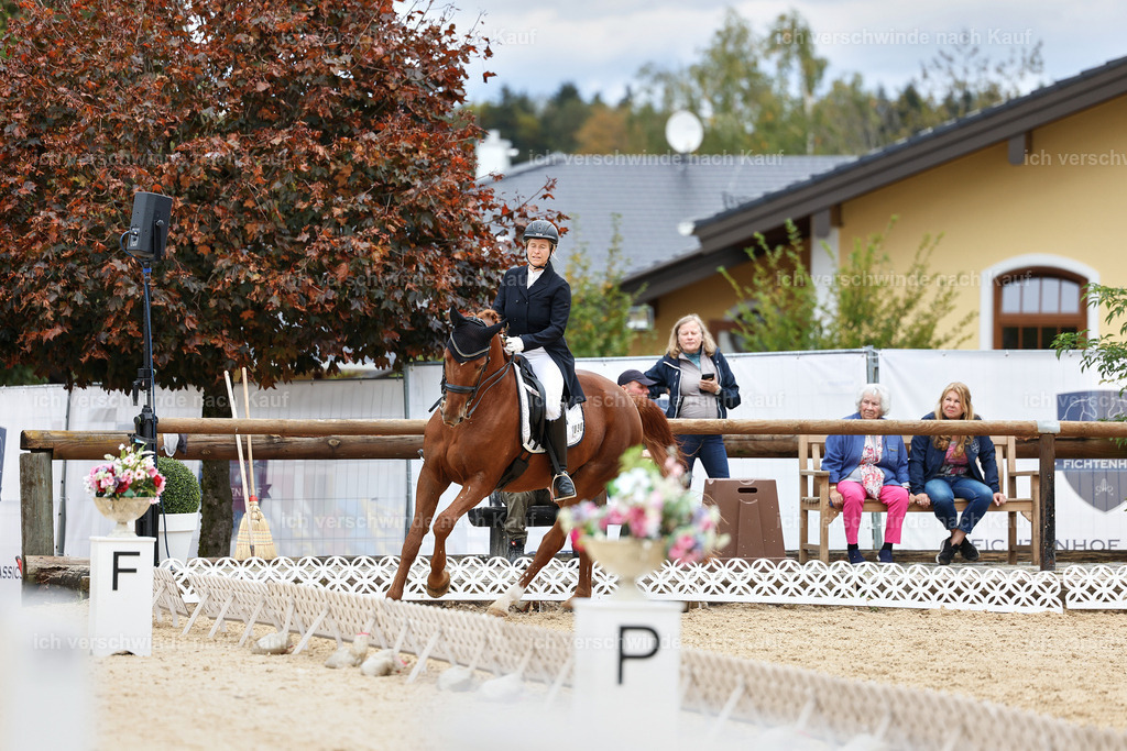 6-090-AMATUER-DRESSUR S_  -StoibPH-3597 | working equitationturnier fotograf videograf stoibphotography marixx film working equitation deutschland reitsport turnierfotografie eventfotografie equestrian events