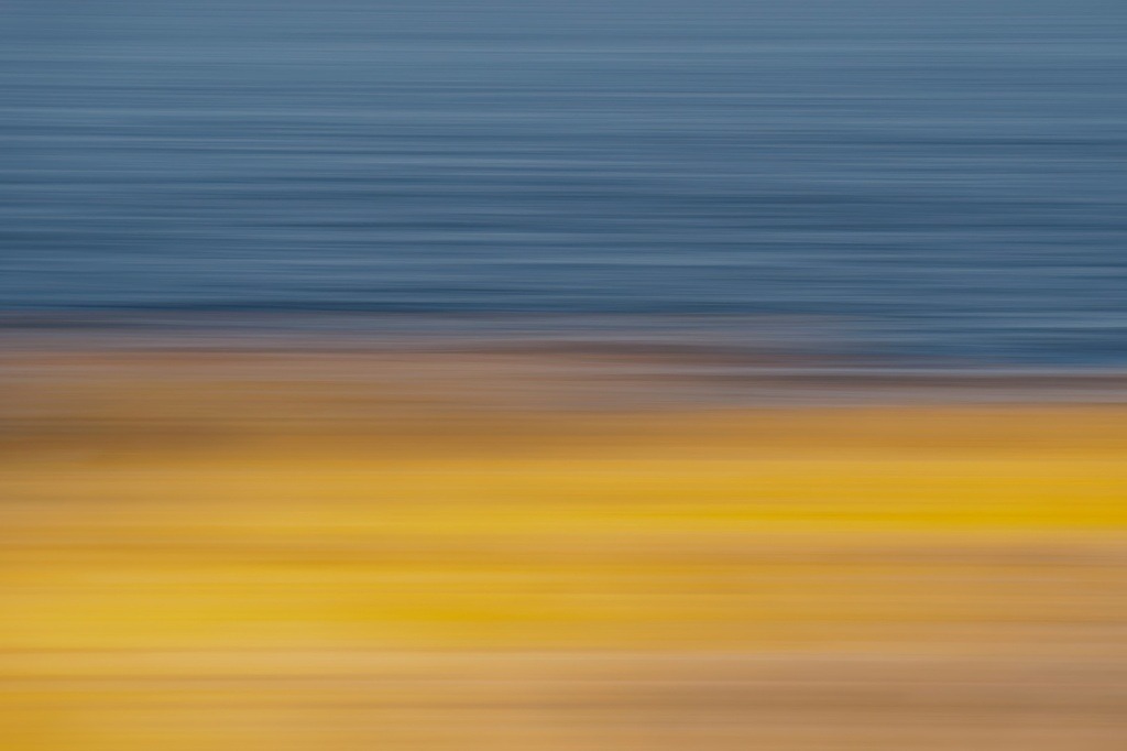 Gelbe Flechten an der Küste | Gelbe Flechten auf Küstengestein (fotografiert mit ICM) - Realisiert mit Pictrs.com