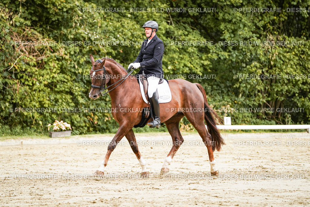 DSC03662 | Pferdegrafie