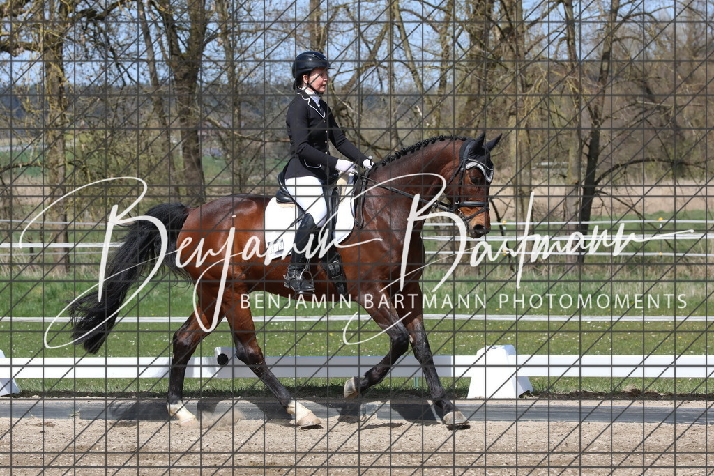 AZ2A3941 | Benjamin Bartmann Photomoments