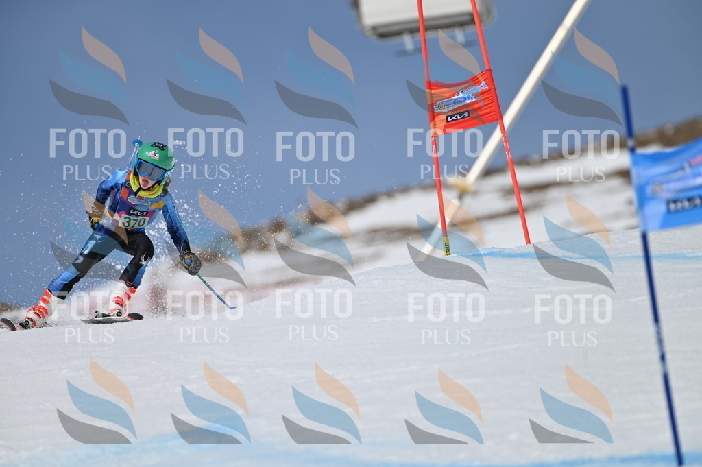 BGV_7315 | holidayphoto