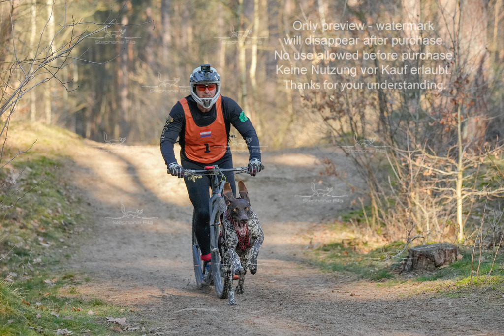 Sa_Scooter-3 | stephaniefillaphotographie - Realisiert mit Pictrs.com