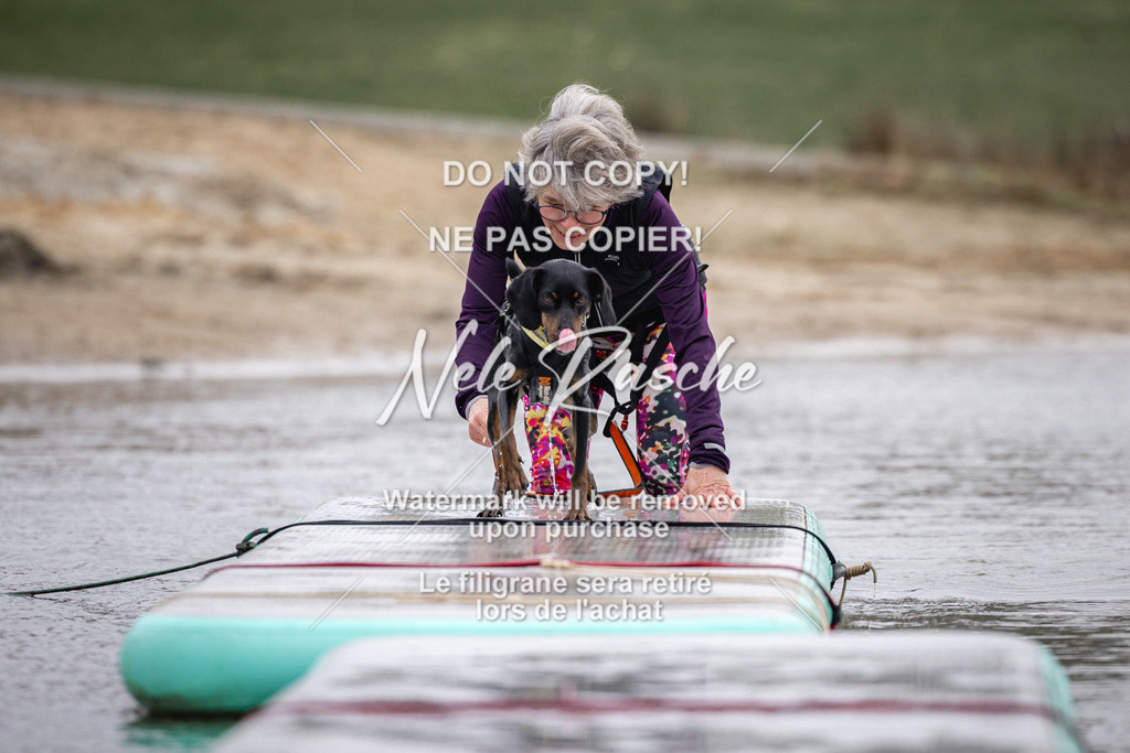 nelerasche_Hulsbeek_Sa1130-1230_299 | nelerasche