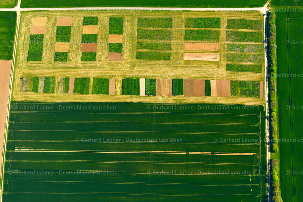 3600524 | Feldstrukturen bei Schwarzenau