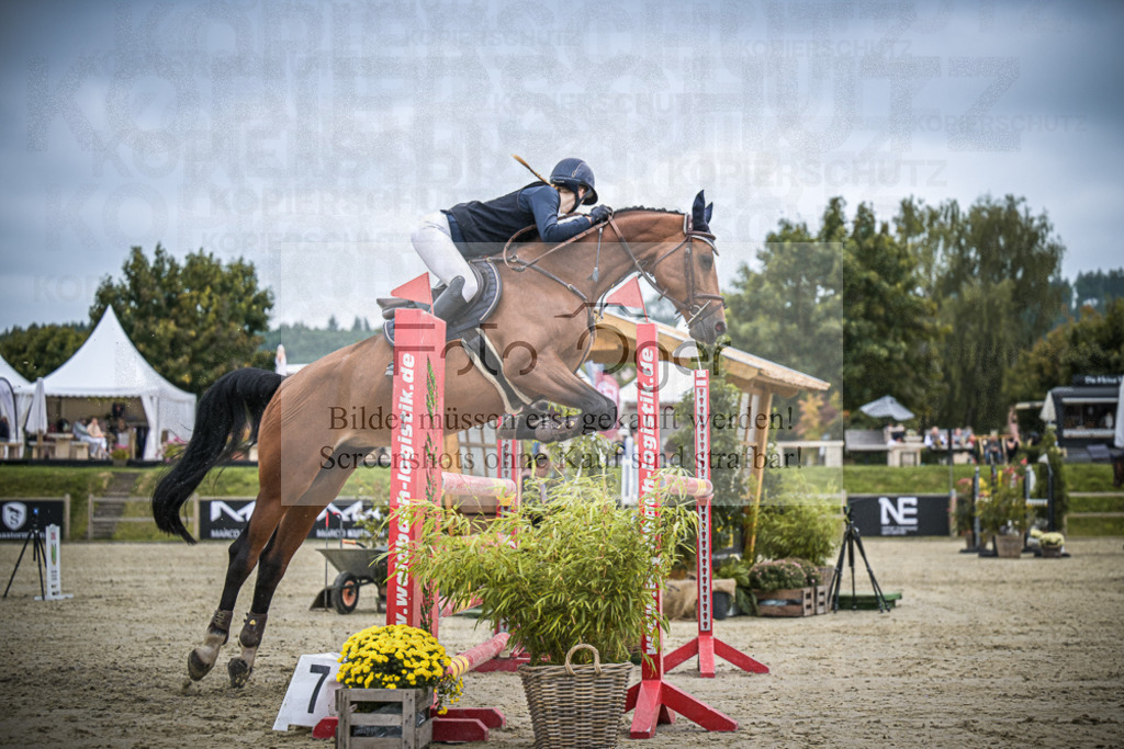 DOS_2804 | Entdecke hochwertige Reitturnierfotos von Foto Oger. Professionell, emotional und authentisch – jetzt Lieblingsmomente im Shop bestellen.Deutschlandweite Turnierfotografie. - Realisiert mit Pictrs.com