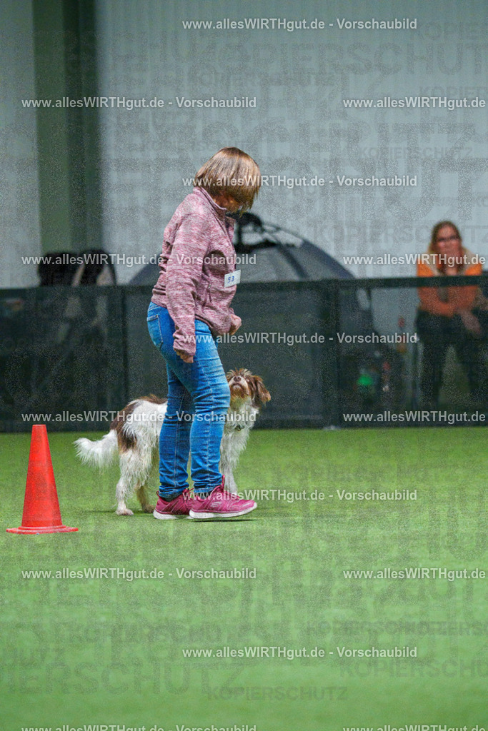 7R502277 | Professionelle Tierfotografie in Mönchengladbach von Daniel Wirth (allesWIRTHgut). Liebevolle & natürliche Bilder von Hunden & Katzen für unvergessliche Erinnerungen.