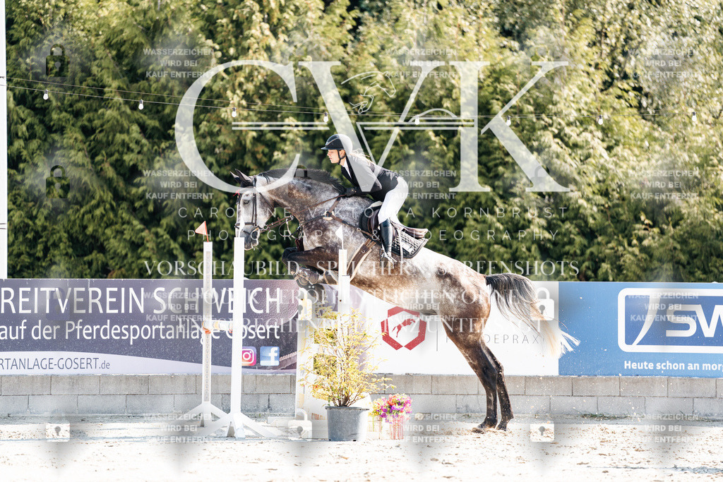 CK902253 | Turnierfotografie Pferdefotografie Trier Rheinland-Pfalz Pferdesport Reitsport Tierfotografie Sportfotografie Pferdevideo Pferdevideografie Equestrianvideography equestrianphotography  - Realisiert mit Pictrs.com