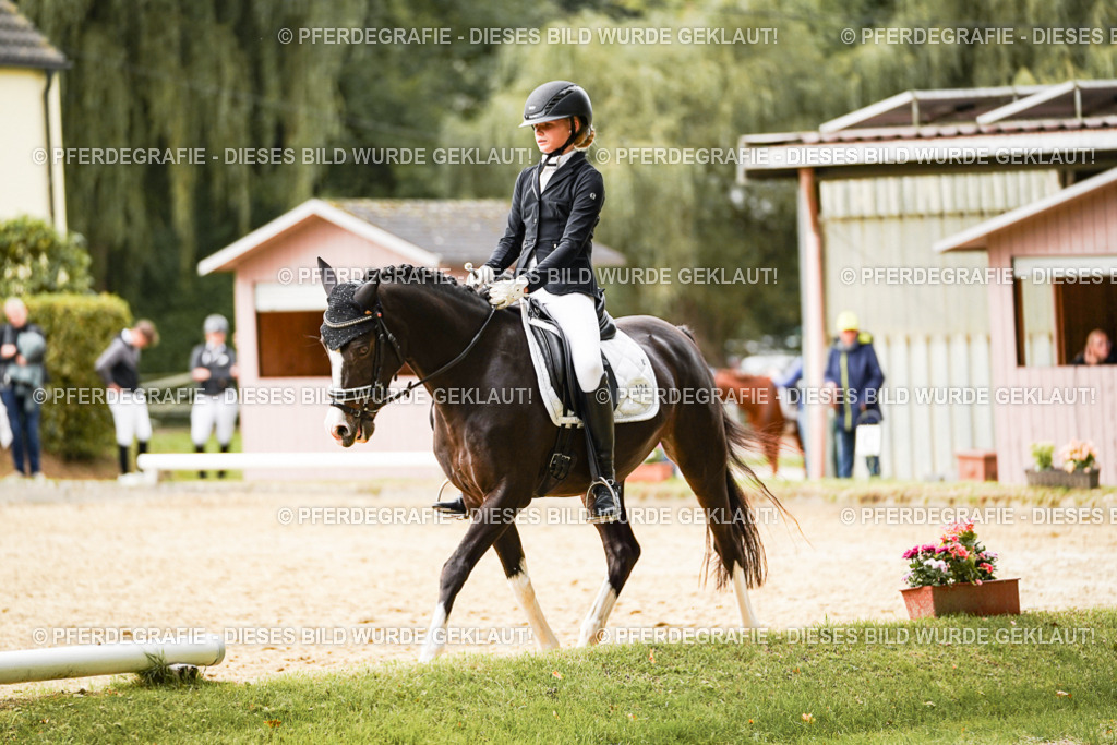 DSC00108 | Pferdegrafie