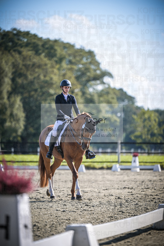 DOS_2718 | Entdecke hochwertige Reitturnierfotos von Foto Oger. Professionell, emotional und authentisch – jetzt Lieblingsmomente im Shop bestellen.Deutschlandweite Turnierfotografie. - Realisiert mit Pictrs.com