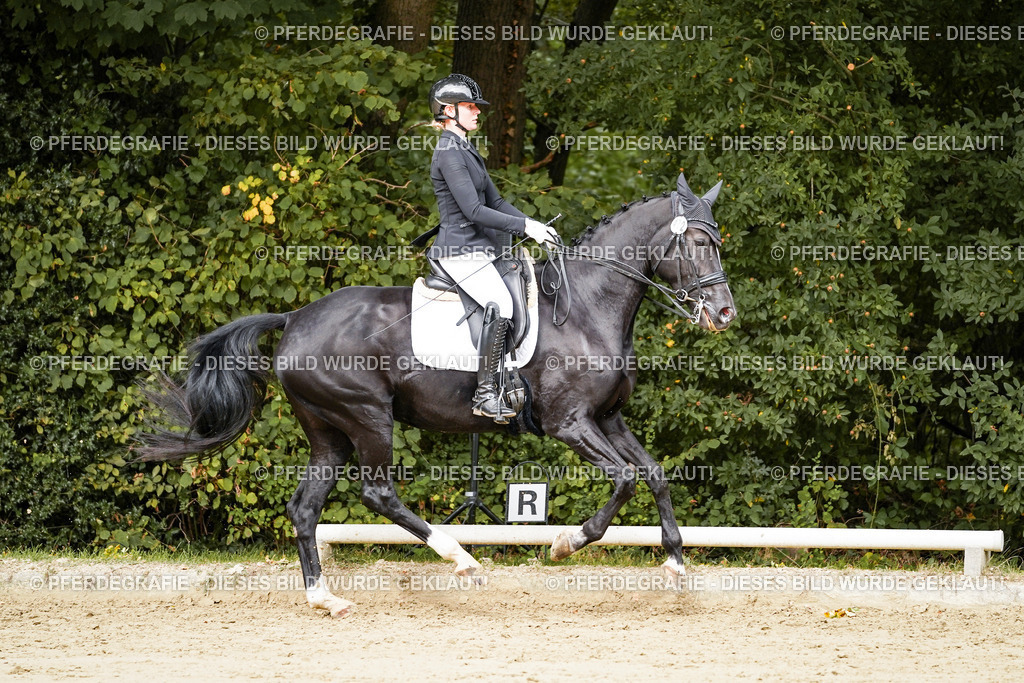 DSC03528 | Pferdegrafie